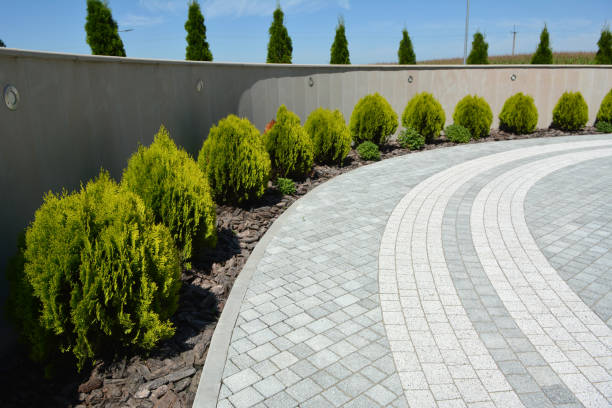 Reasons to Select Us for Your Driveway Paving Requirements in Greenland, AR
